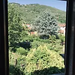 Versilia Garden
