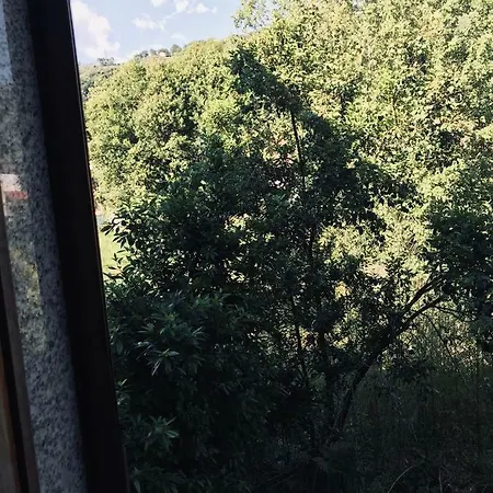 Versilia Garden Apartment