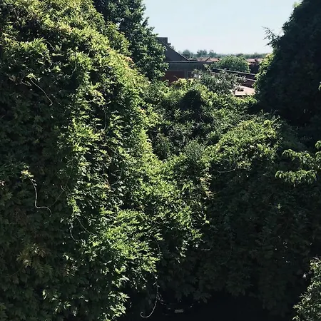 Versilia Garden