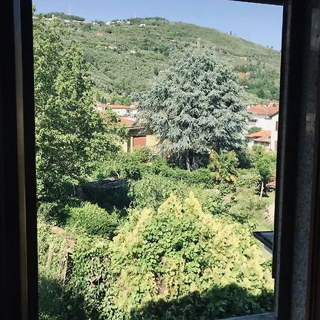 Versilia Garden