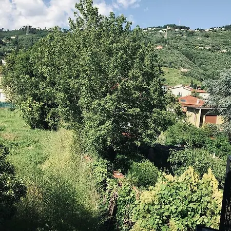 Versilia Garden